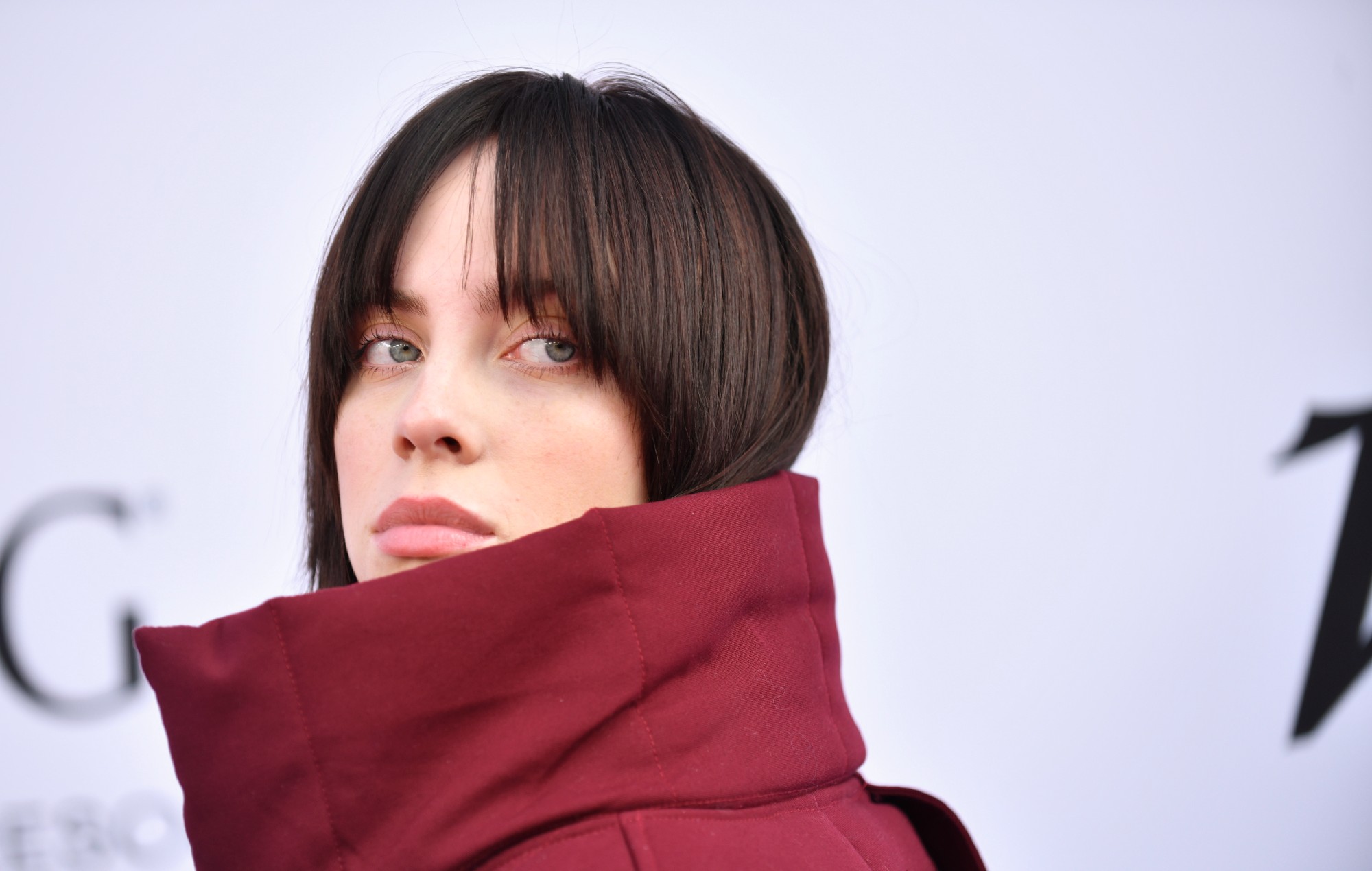 billie eilish teases male fantasy music video