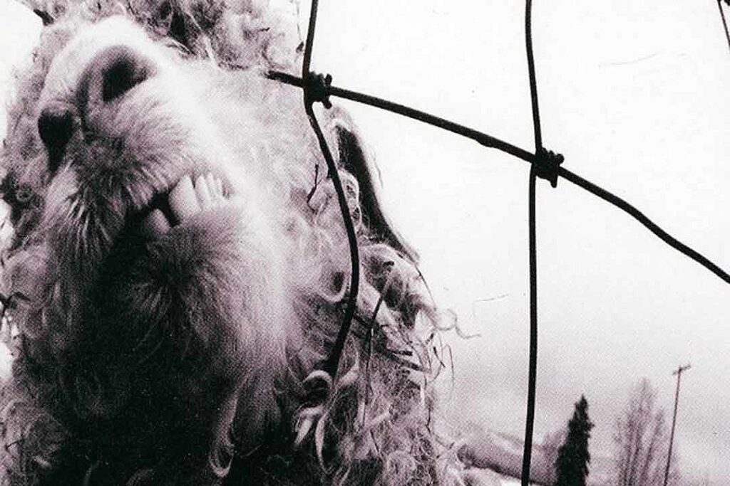 30-years-ago:-pearl-jam-gets-angry-and-defiant-on-‘vs.’