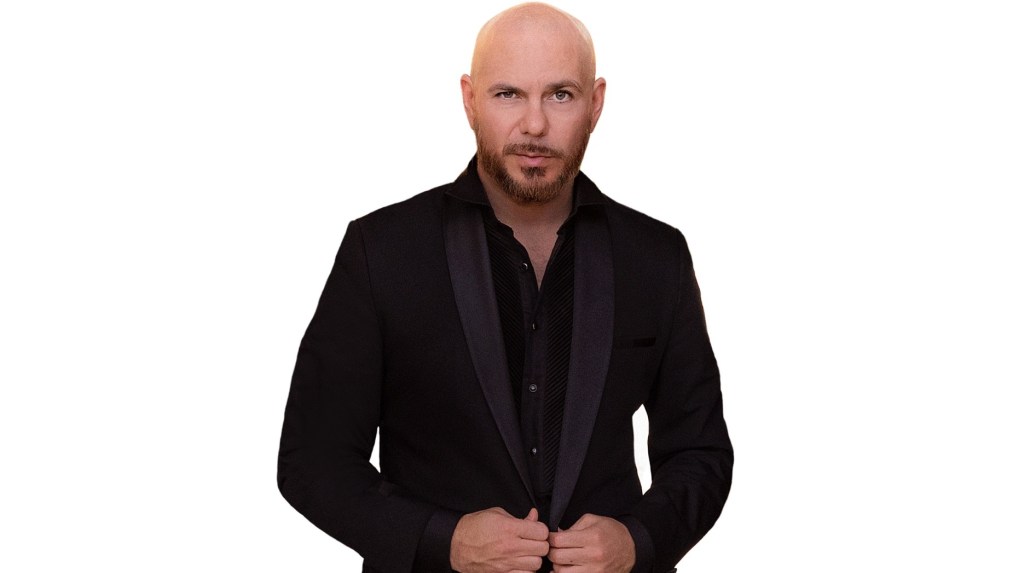 publishing-briefs:-pitbull-extends-with-bmg,-dido-signs-with-warner chappell