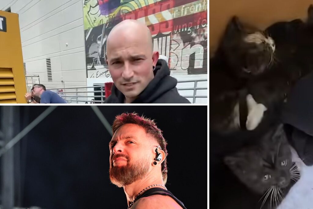 watch-trivium-+-bfmv-save-abandoned-kittens-from-diesel-generator