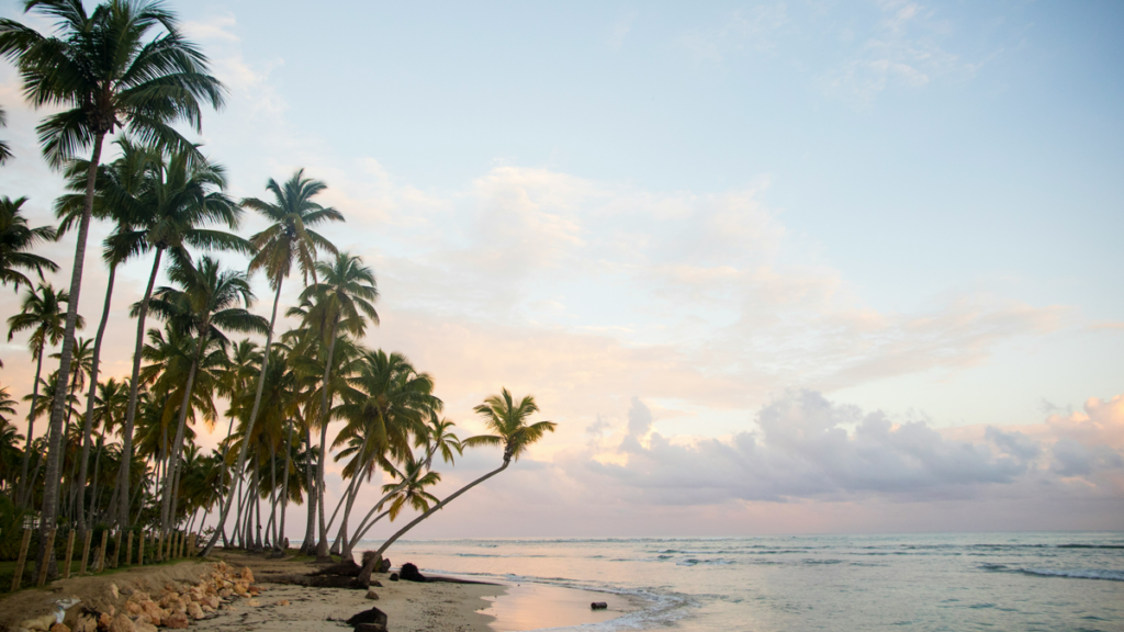 live-nation-dips-into-the-dominican-republic-with-sd-concerts-acquisition