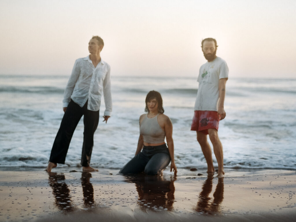 big-thief-announce-new-album,-double-infinity