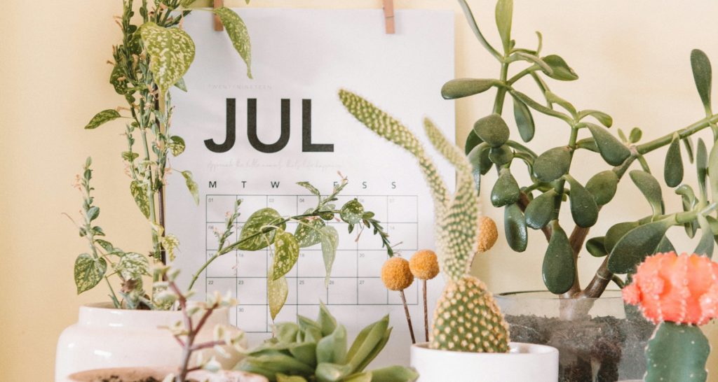 copyright-office-legal-battle-to-run-into-at-least-july,-new-scheduling-order-shows