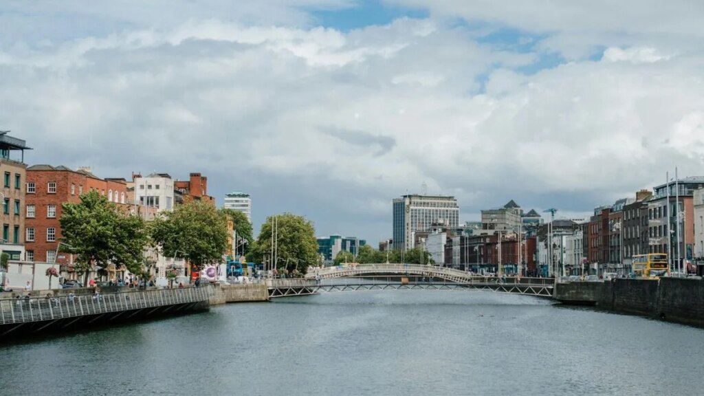 imro-reports-record-revenues-in-2024—16%-growth-&-expanding-international-reach