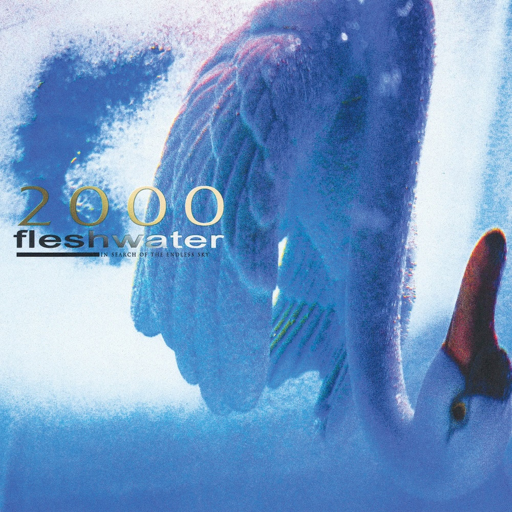 fleshwater-announce-new-album-2000:-in-search-of-the-endless-sky