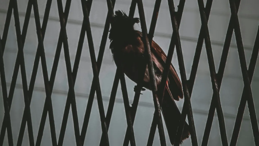 diddy-prison-and-parole-details-emerge-(and-freak-offs-are-probably-off-the-table-—-at-least-until-further-notice)