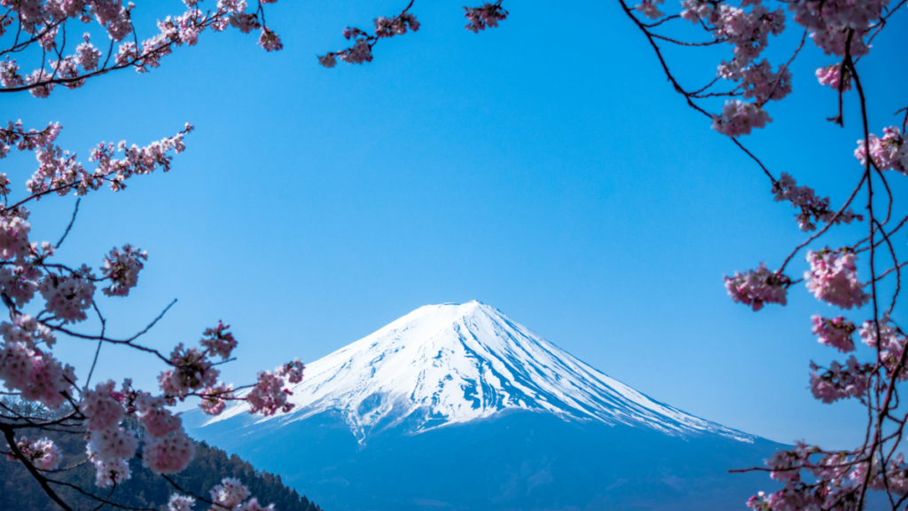 axs-goes-big-in-japan-with-lawson-entertainment-joint-venture—’axs-tickets’-sets-sail