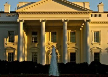 trump-decided-against-issuing-diddy-a-pardon,-new-york-times-interview-reveals